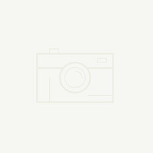 BG8000總線制氣體報警控制器/總線制報警主機